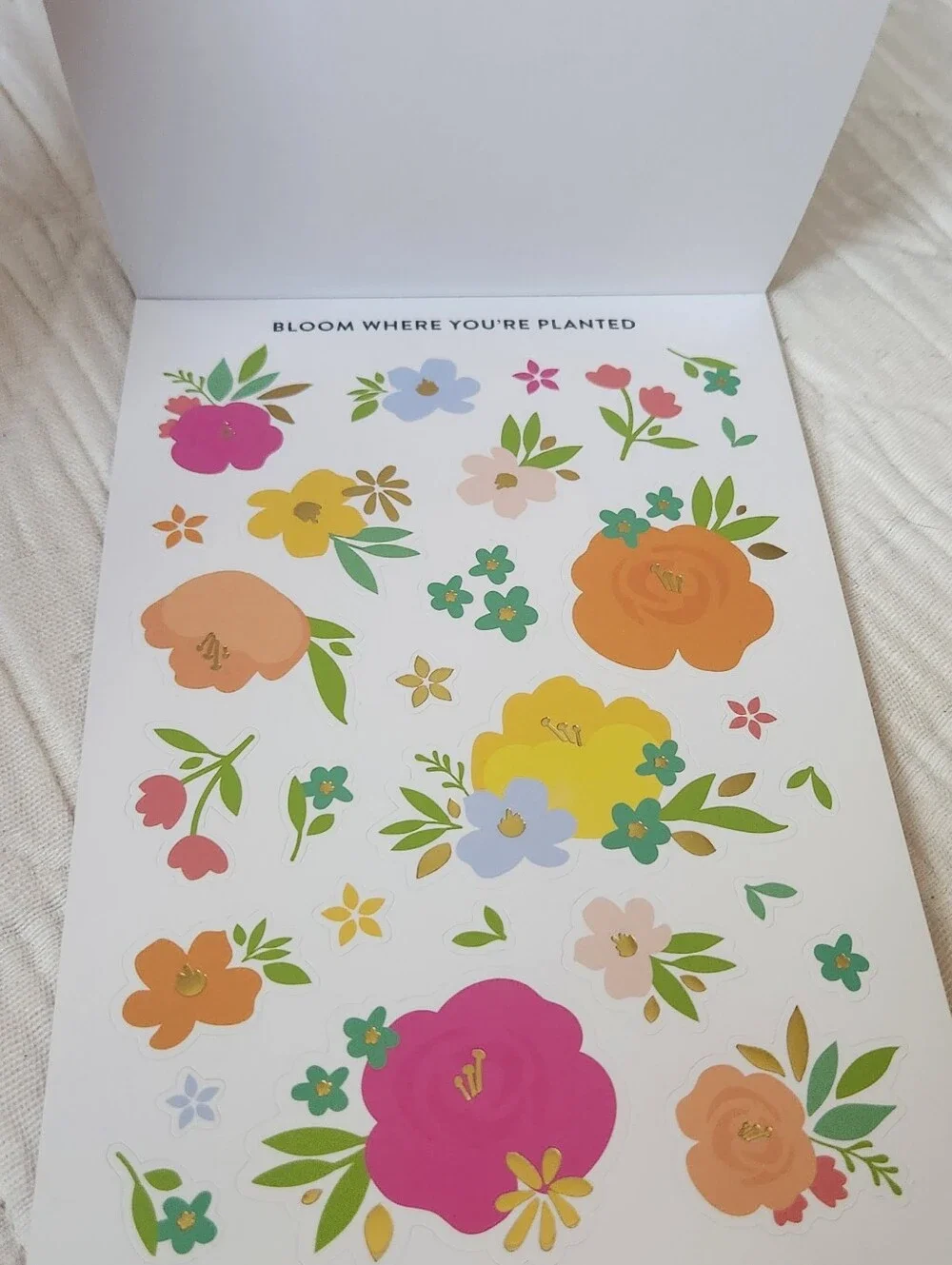 NWOT Cultivate Goal Setting Sticker Book- Pink & Gold Stripes